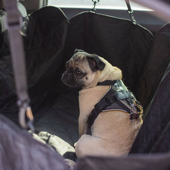 FluffyValley™ - Car Seat Cover for Dogs