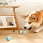 FluffyValley™ Smart Rolling Ball